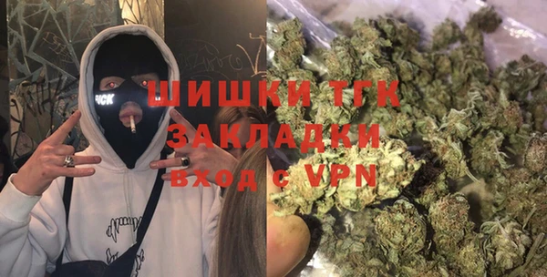 ешки Инта